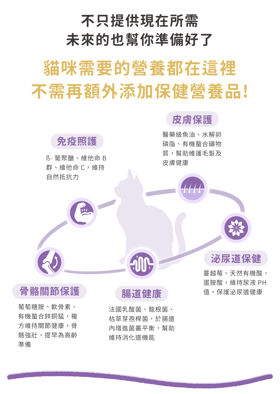 提供貓咪全面營養,涵蓋免疫、骨骼、皮膚、腸道及泌尿道健康照護,成分包括葡聚醣、維他命B群、維他命C、葡萄糖胺、軟骨素、有機螯合鋅銅錳、醫藥級魚油、水解卵磷脂、有機螯合礦物質、法國乳酸菌、龍根菌、枯草芽孢桿菌、蔓越莓、天然有機酸、蛋胺酸。