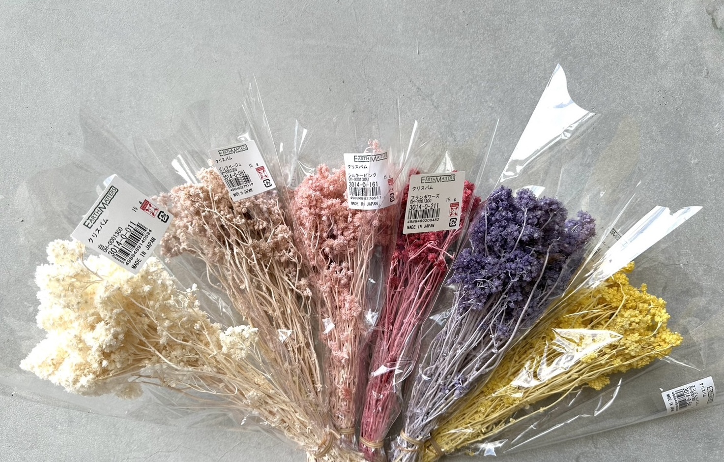 繁星花（日本）