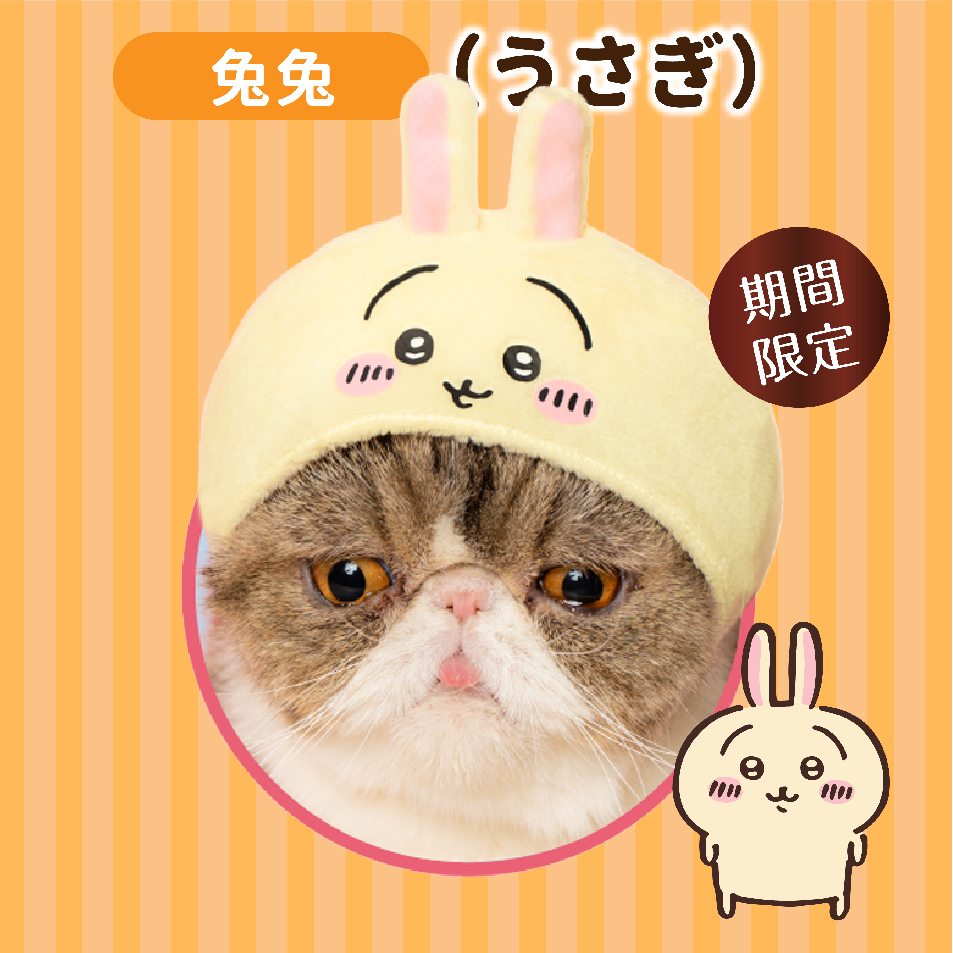 日本 Chiikawa｜ちいかわ 貓貓頭套（ 1Set 6個 ）