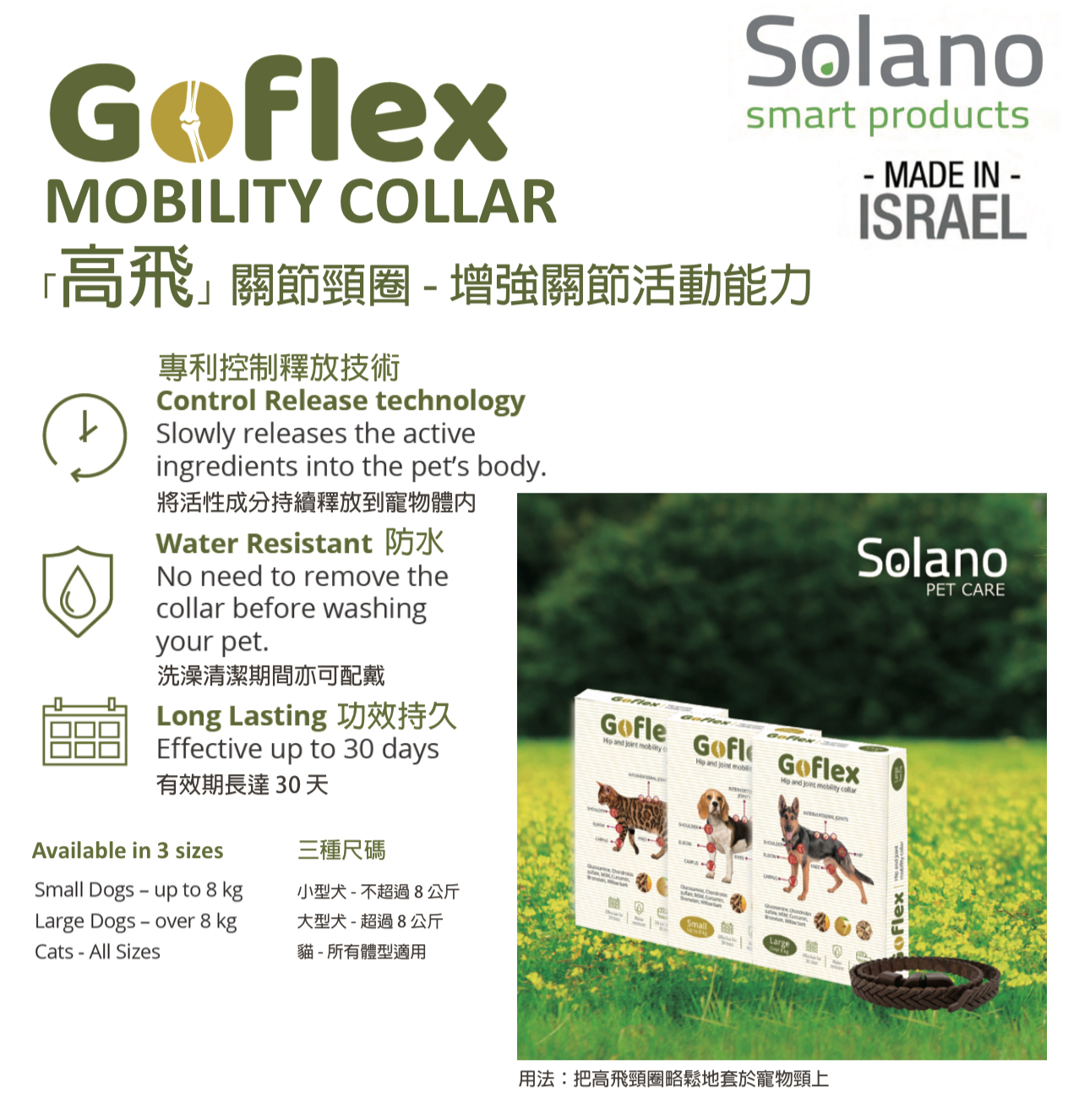 Solano Goflex高飛 關節頸圈 增強關節活動能力（所有體型及重量貓貓適用）