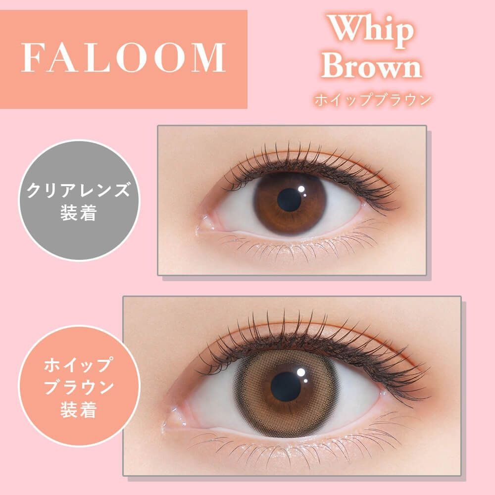 [日拋] FALOOM 1 Day Whip Brown 日拋隱形眼鏡｜每盒10片