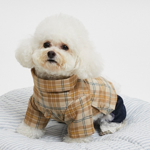 Louisdog 經典格子長版襯衫