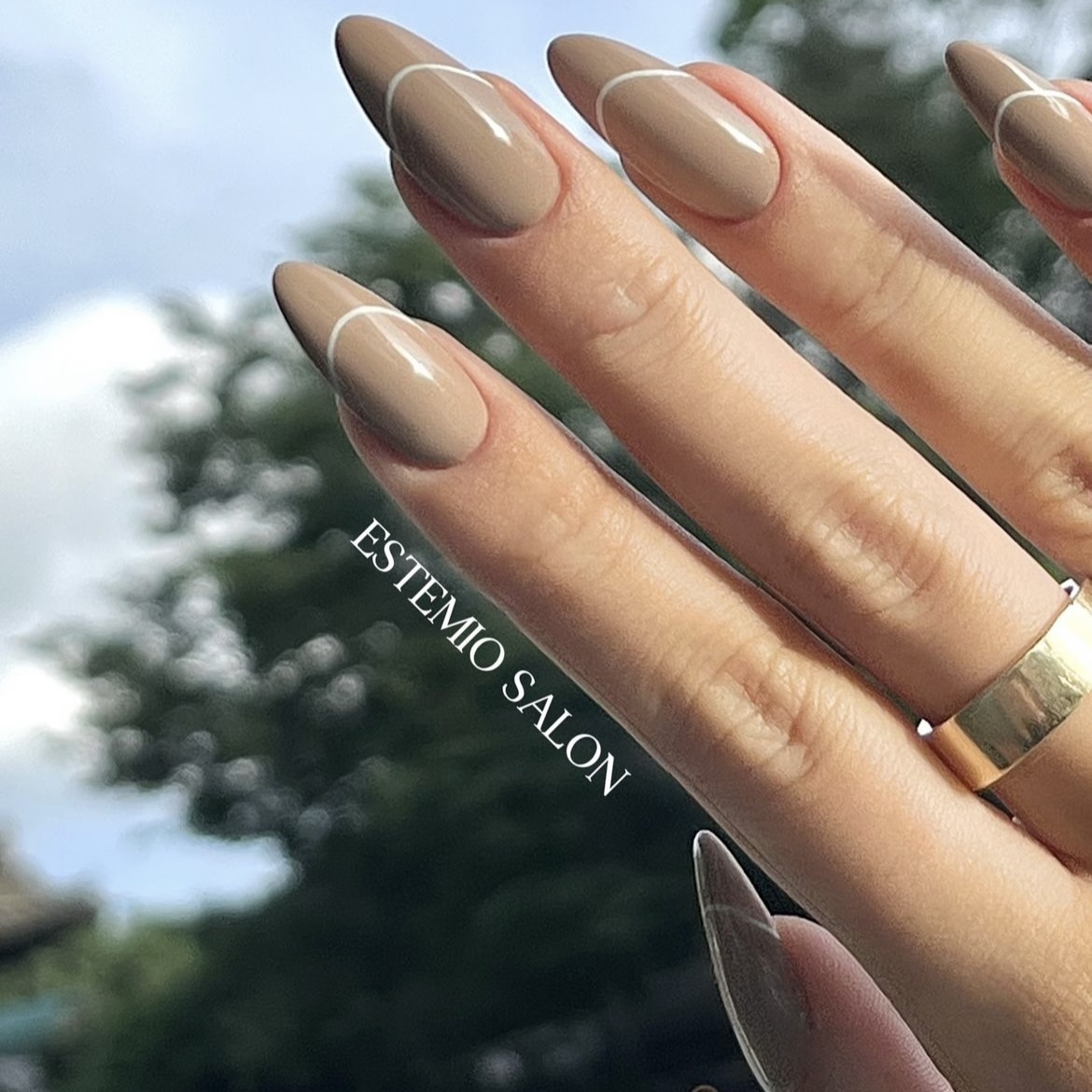 Estemio ~ DB17 *LOOK BOOK Collection *