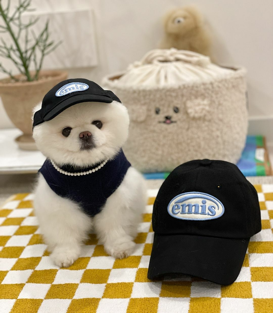 韓國代購emis Pet Wappen 可愛腳印寵物親子帽貓貓帽狗狗帽