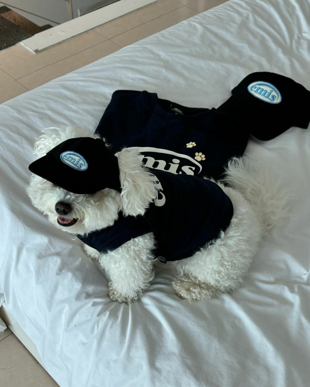 現貨 韓國代購 emis Pet Wappen 可愛腳印 寵物 親子帽 貓貓帽 狗狗帽 露耳帽