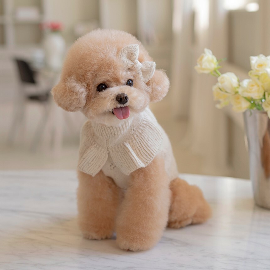 OPAAAP 閃亮花領針織毛衣 (燕麥奶)