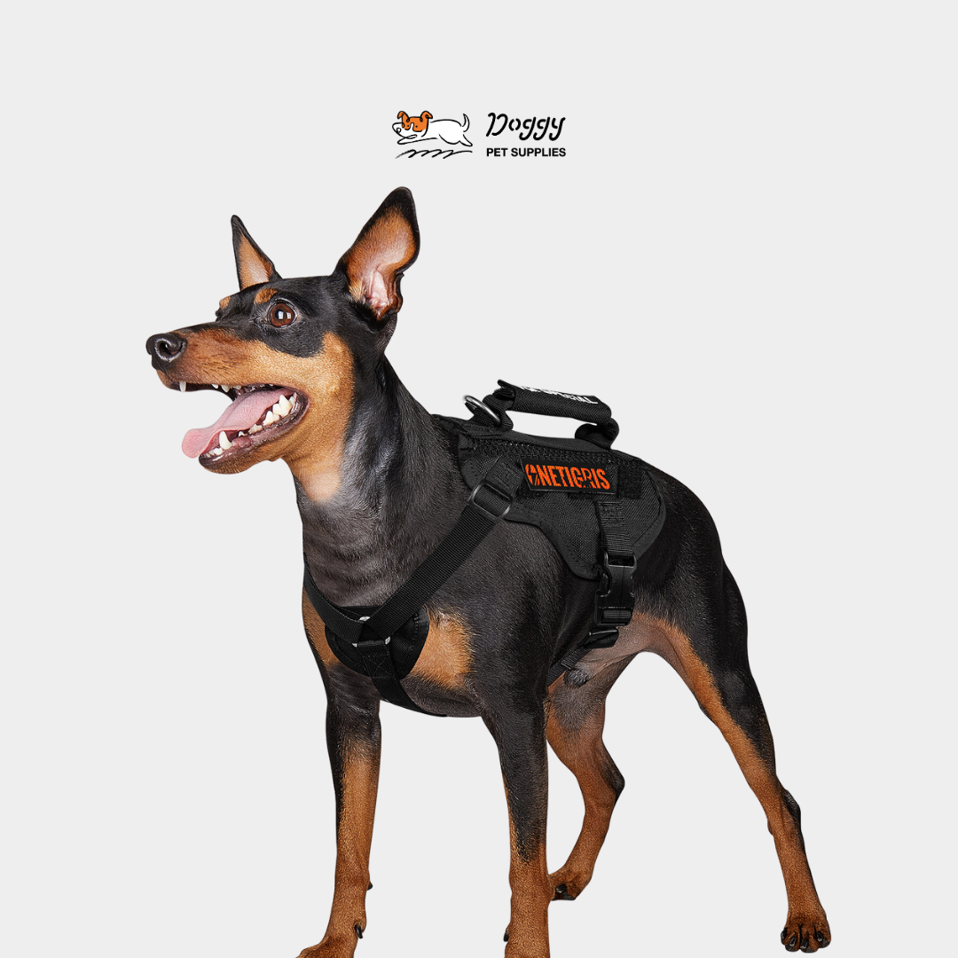 【 OneTigris 】手把式戰術機能衝鋒衣