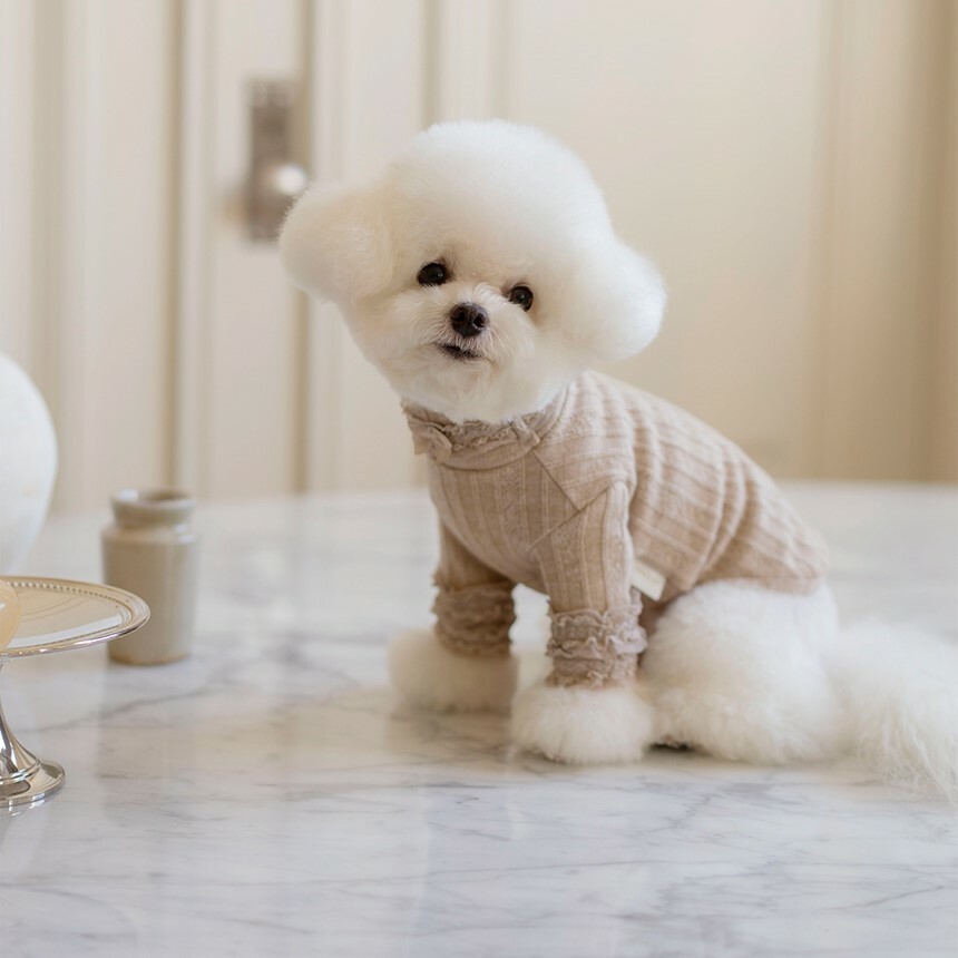 OPAAAP 新蕾絲長袖高領衫（拿鐵）