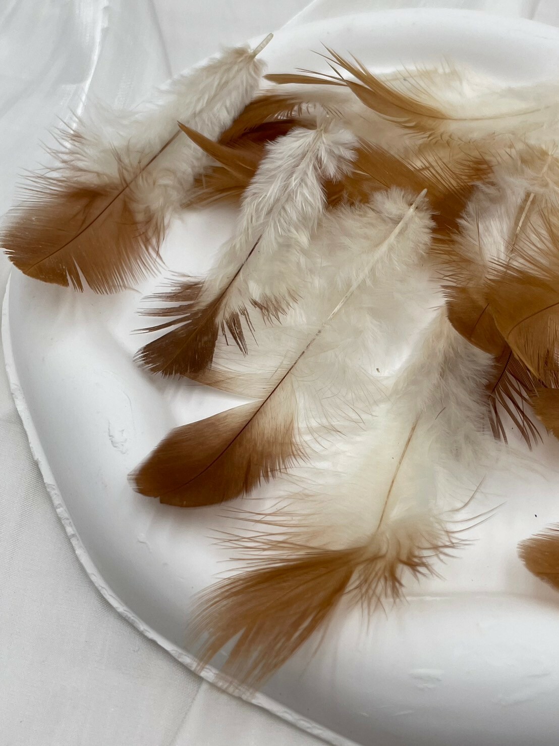 紅婆毛.約6-10cm約100根入