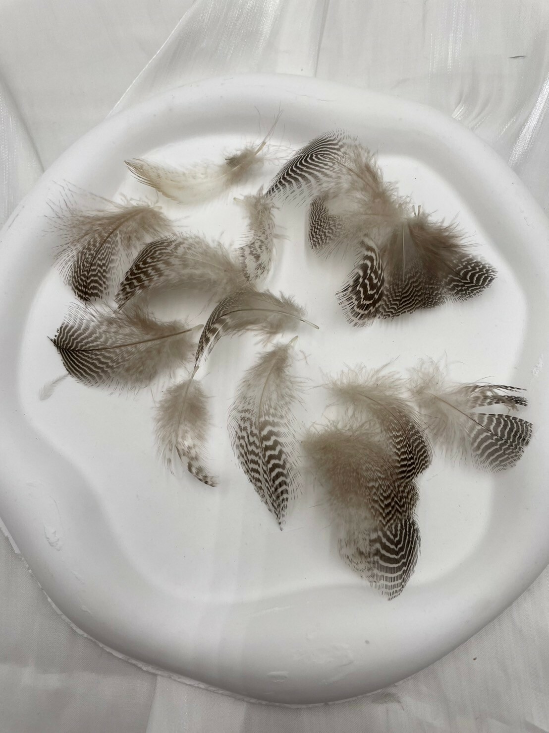 野鴨毛.約4-8cm約50根入