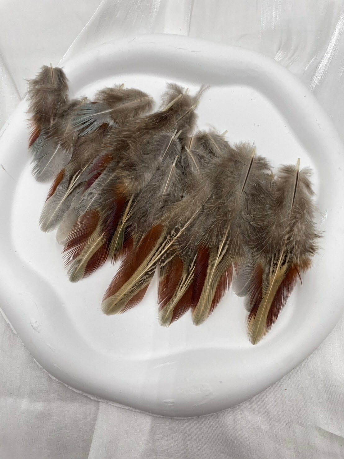 紅余毛.約4-7cm約50根入