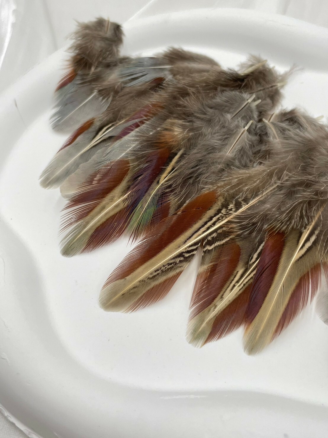 紅余毛.約4-7cm約50根入