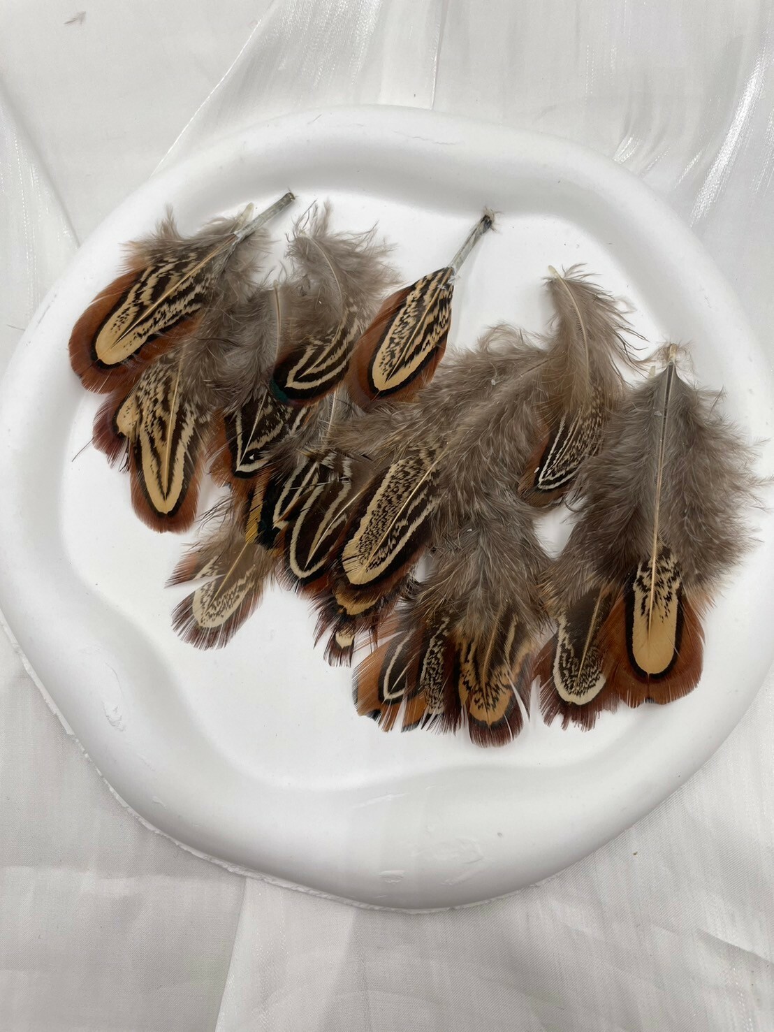 大倉毛.約4-8cm約50根入