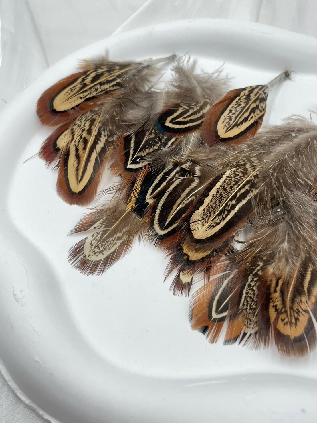 大倉毛.約4-8cm約50根入