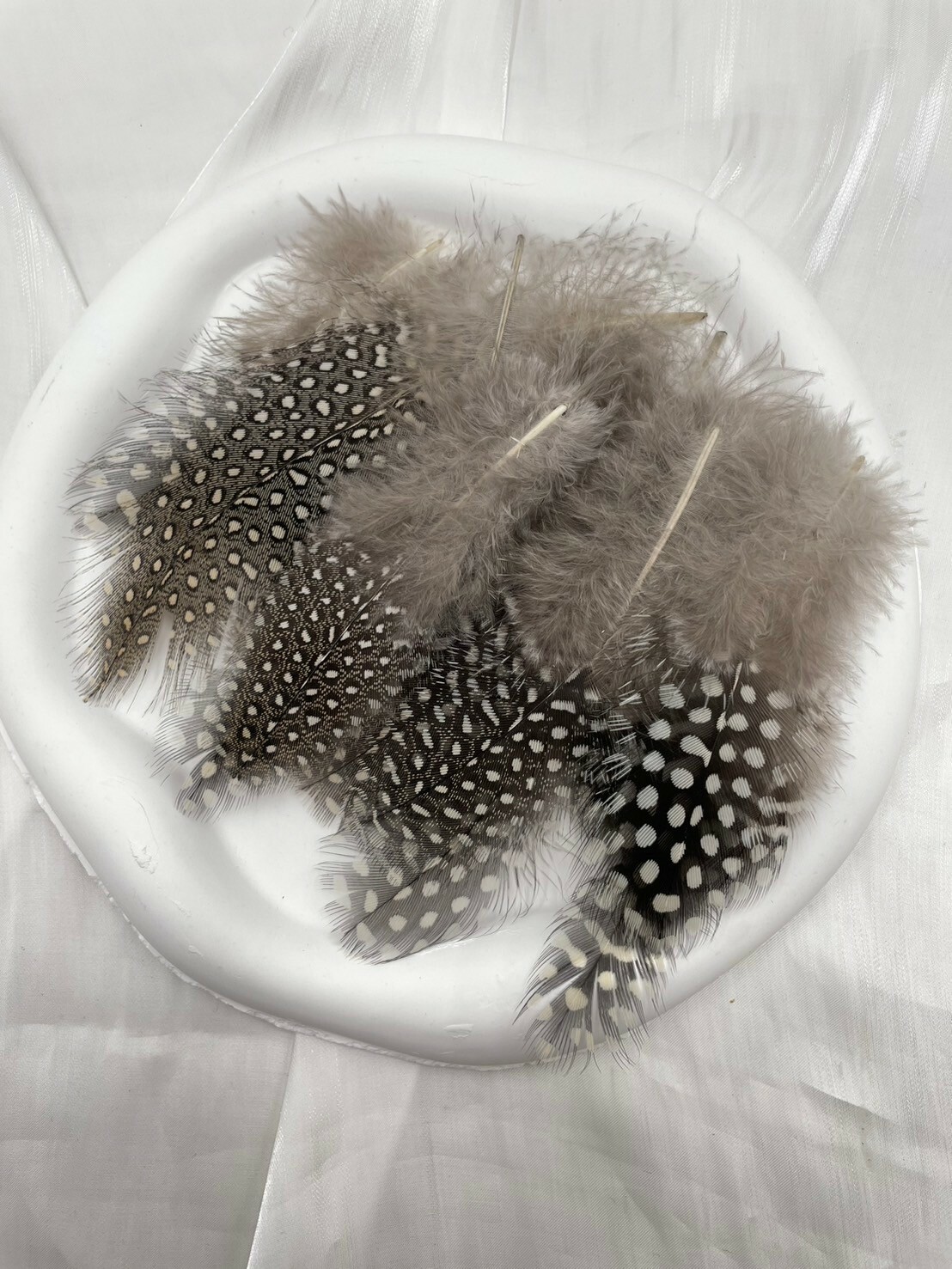 珍珠毛.約4-8cm約50根入