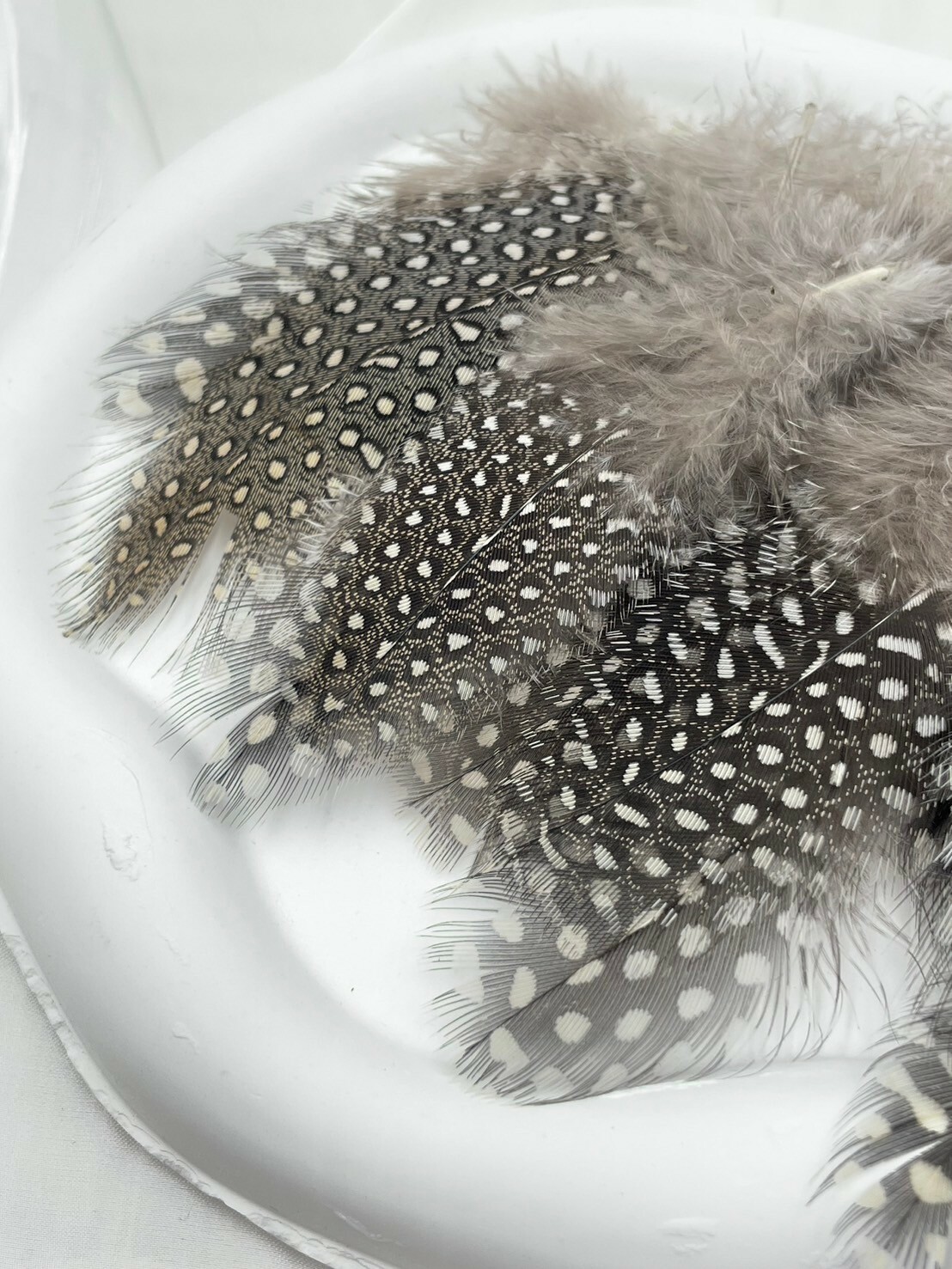 珍珠毛.約4-8cm約50根入