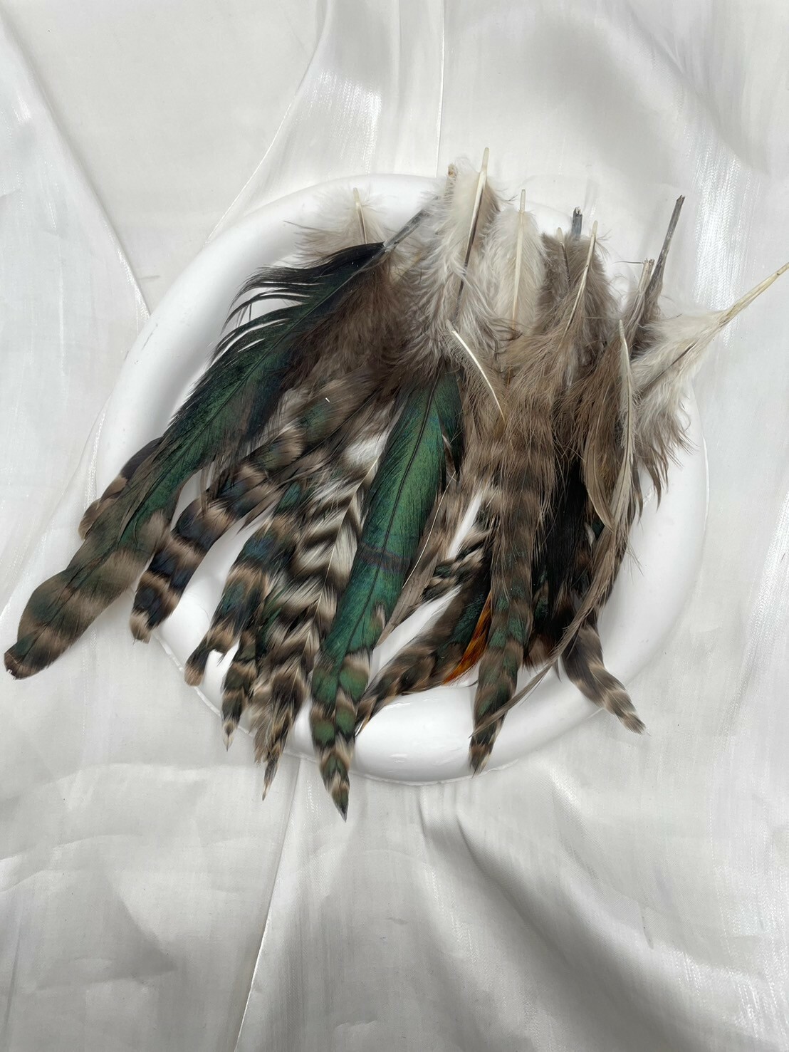 青花泳.約12-20cm約50根入