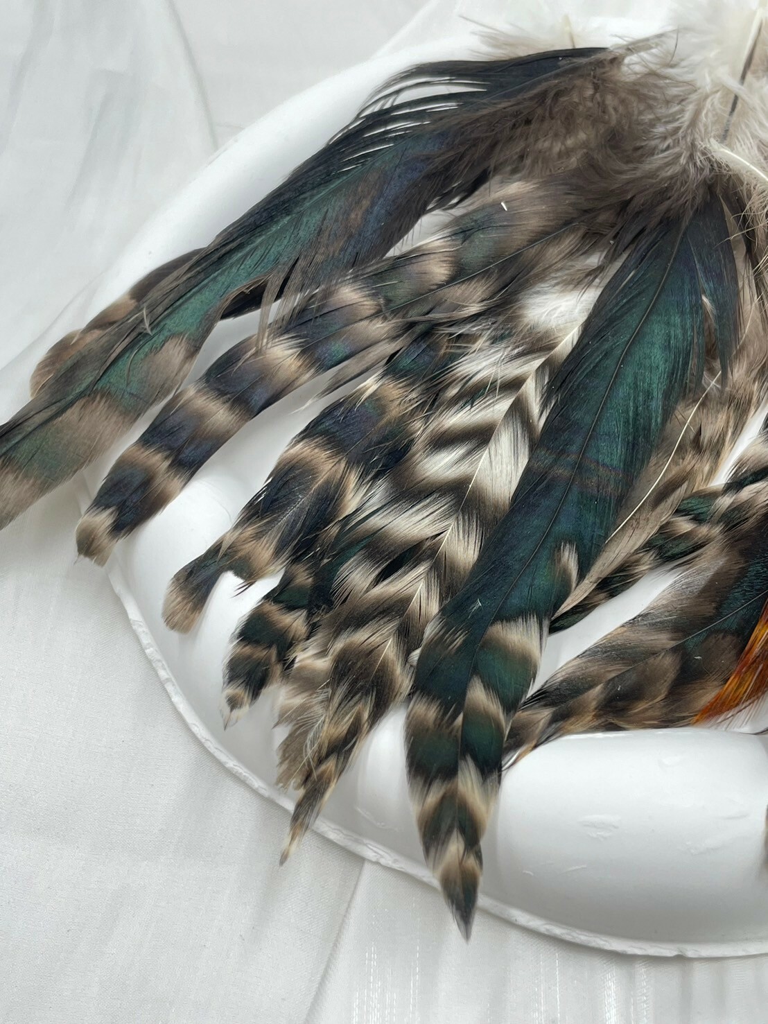 青花泳.約12-20cm約50根入