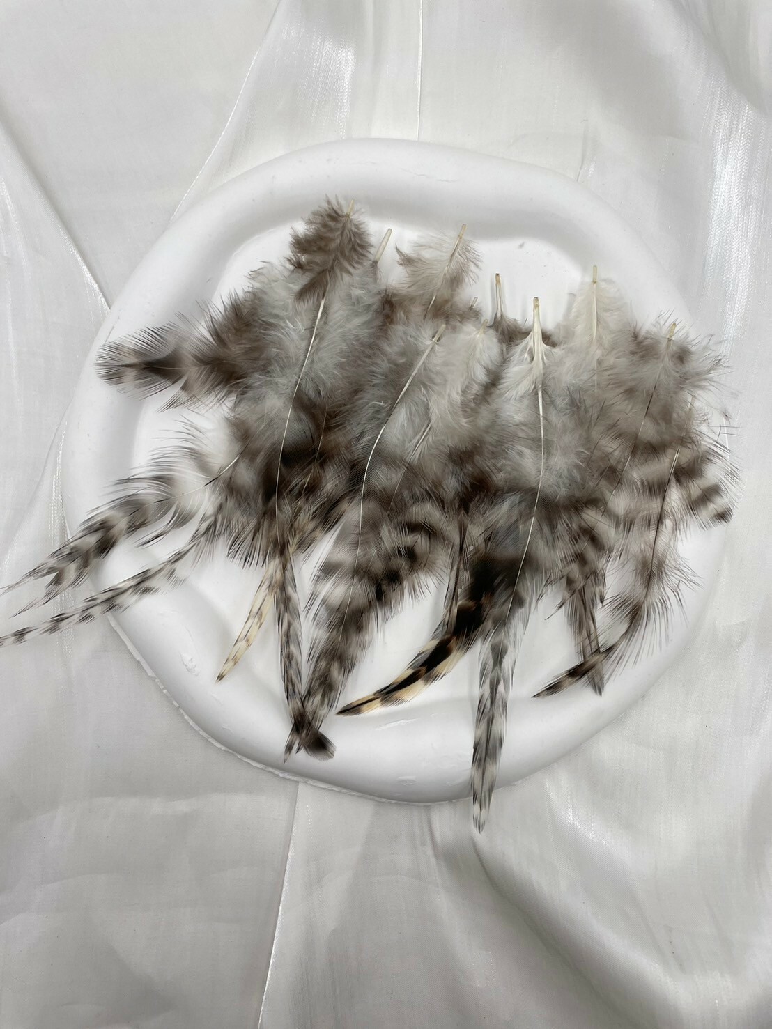 青蘆花尖.約7-13cm約50根入