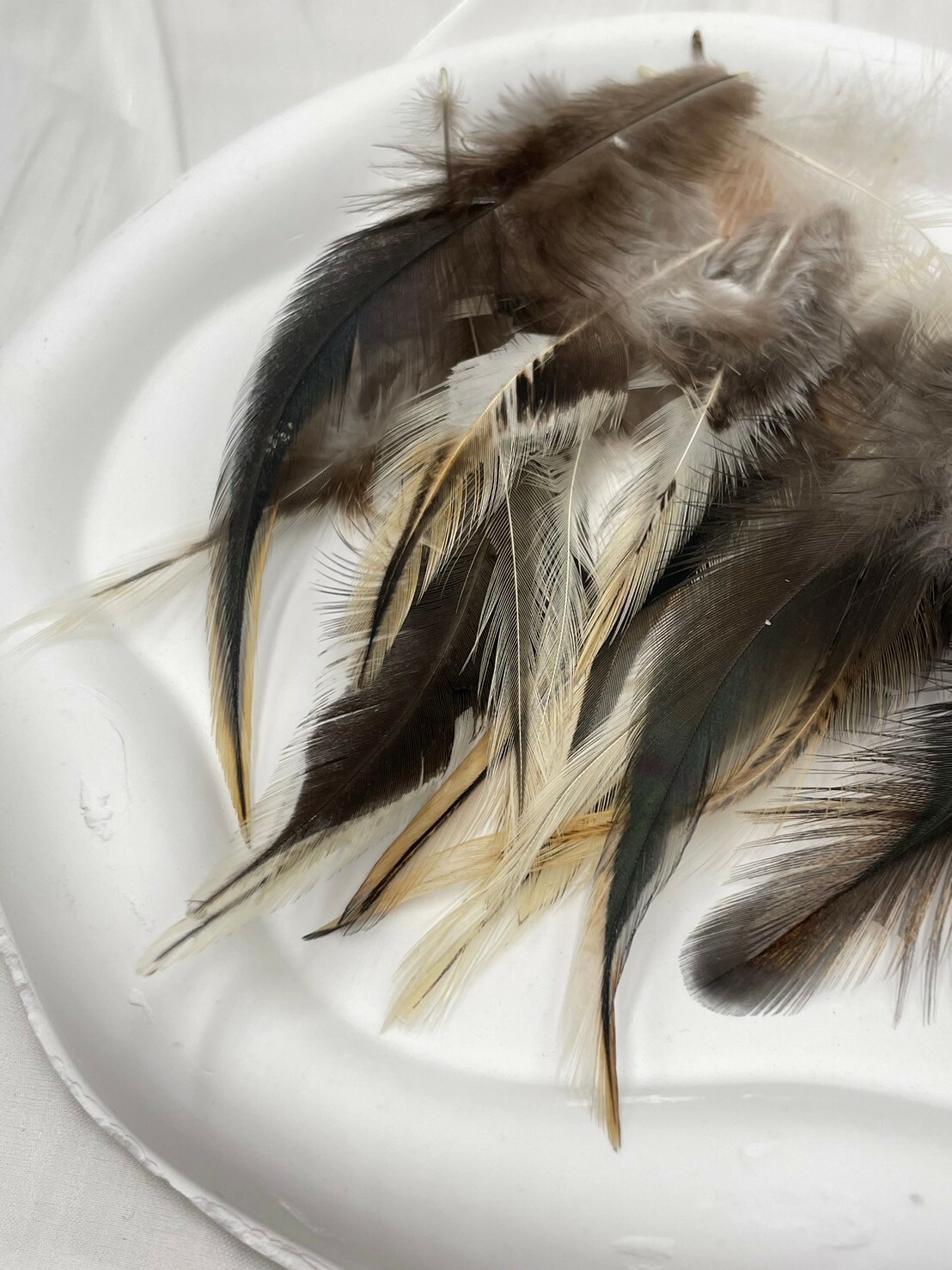 銀邊尖.約7-14cm約50根入