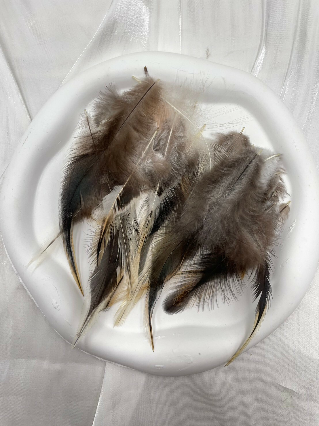 銀邊尖.約7-14cm約50根入