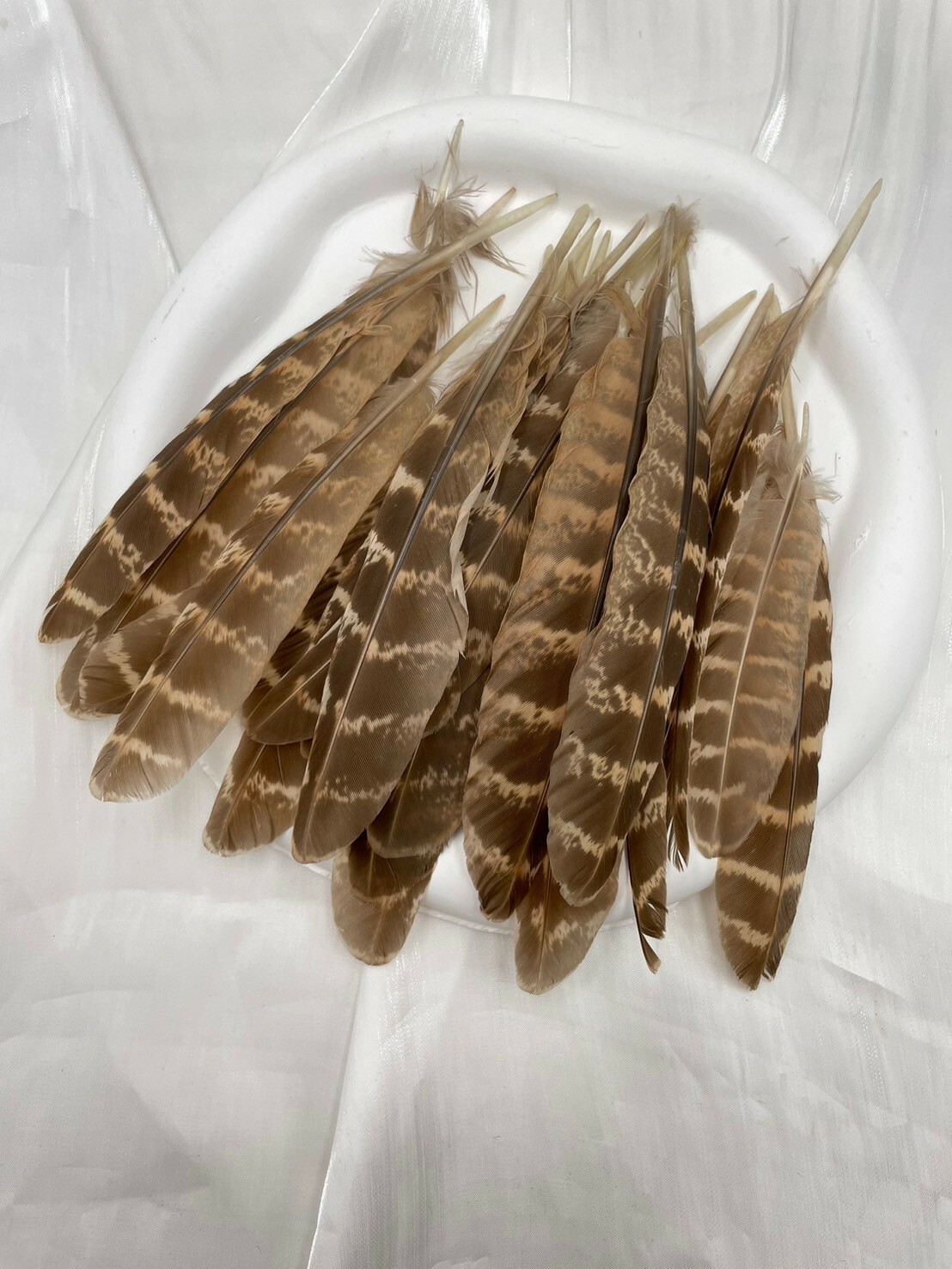 母地雞窩翎.約10-15cm