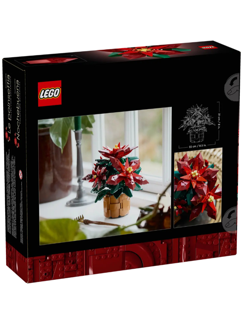 LEGO 10370 聖誕紅