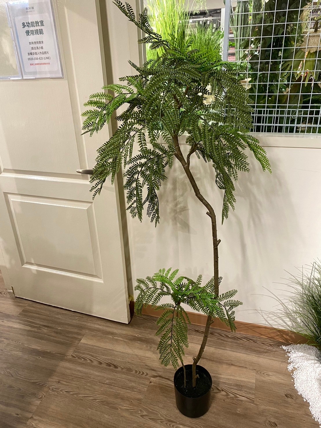 仿真藍花楹盆栽