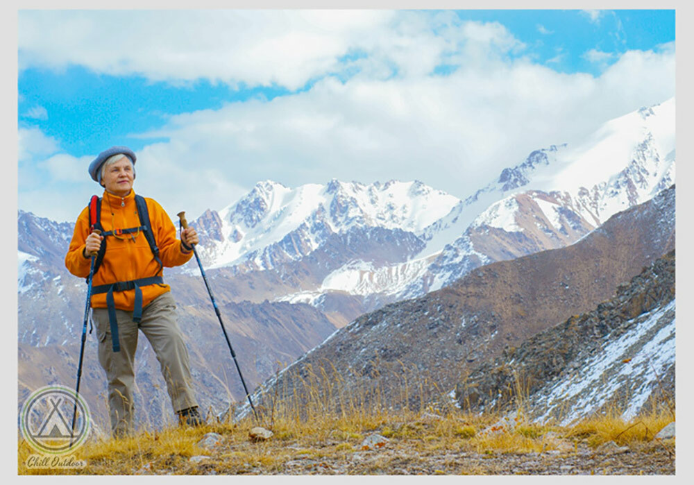 伸縮登山杖 仿木紋