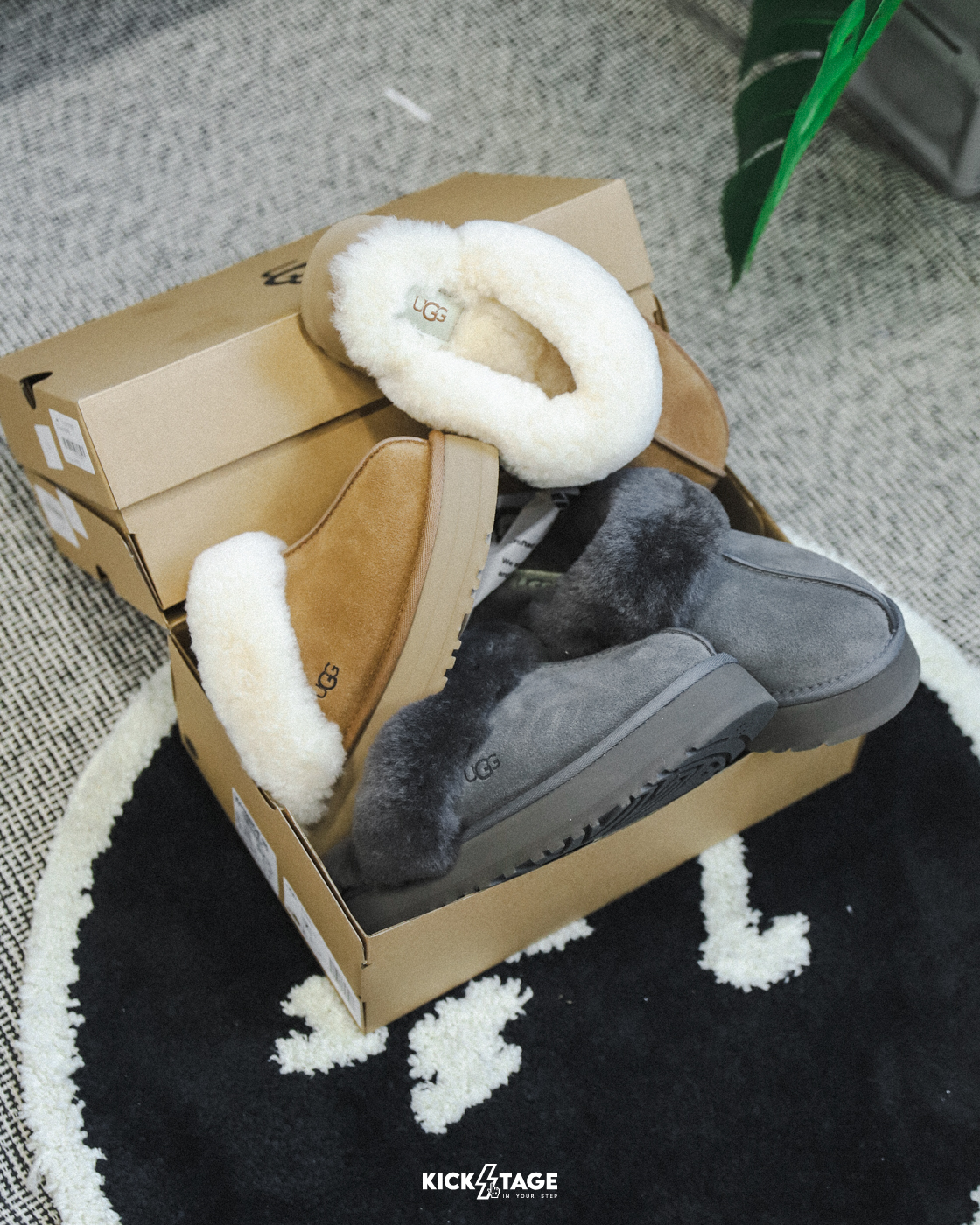 女鞋 UGG W Disquette 炭灰色 栗子棕 羊皮領 麂皮 復古 厚底 毛毛拖鞋 穆勒鞋【UG1122550】