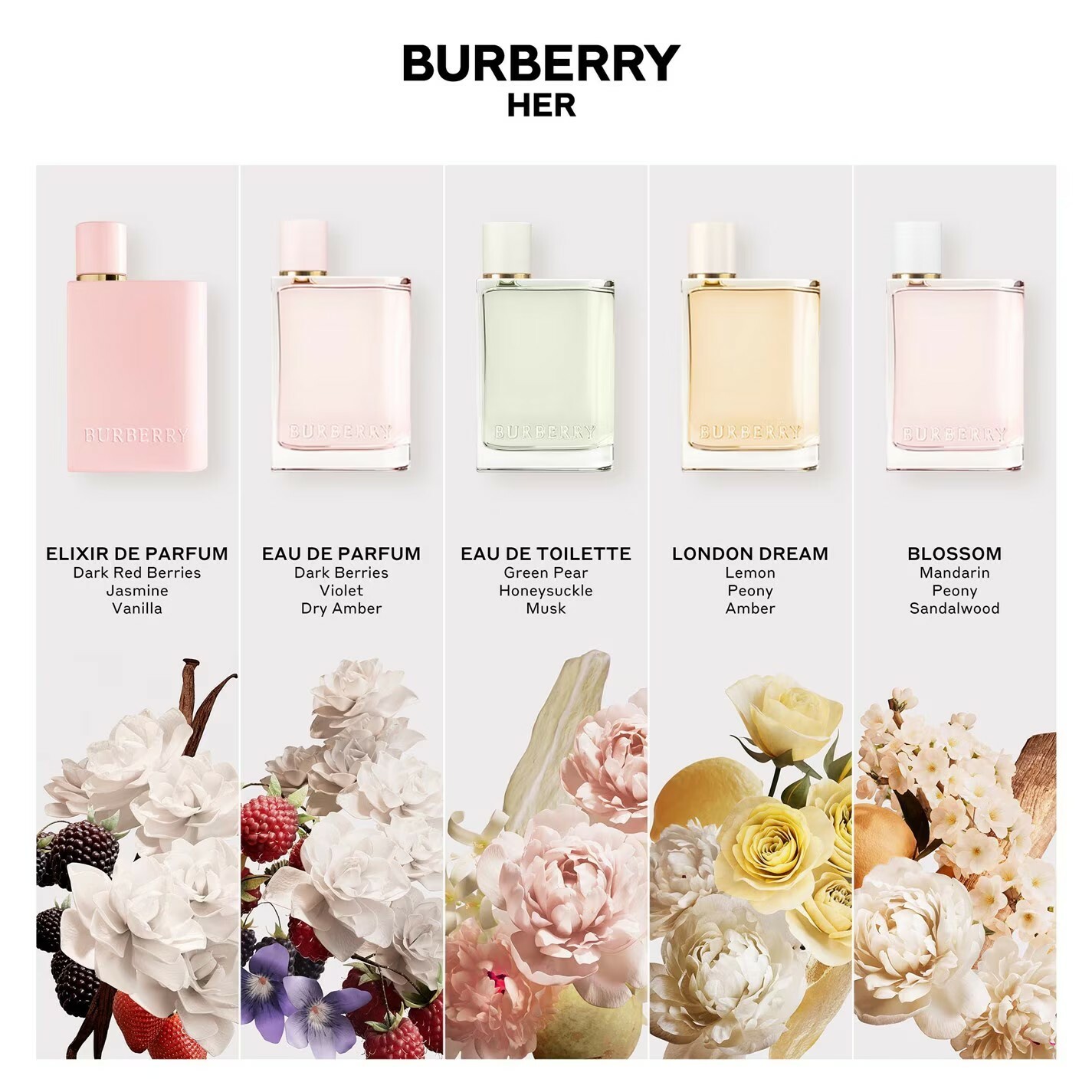 BURBERRY 花與她淡香精