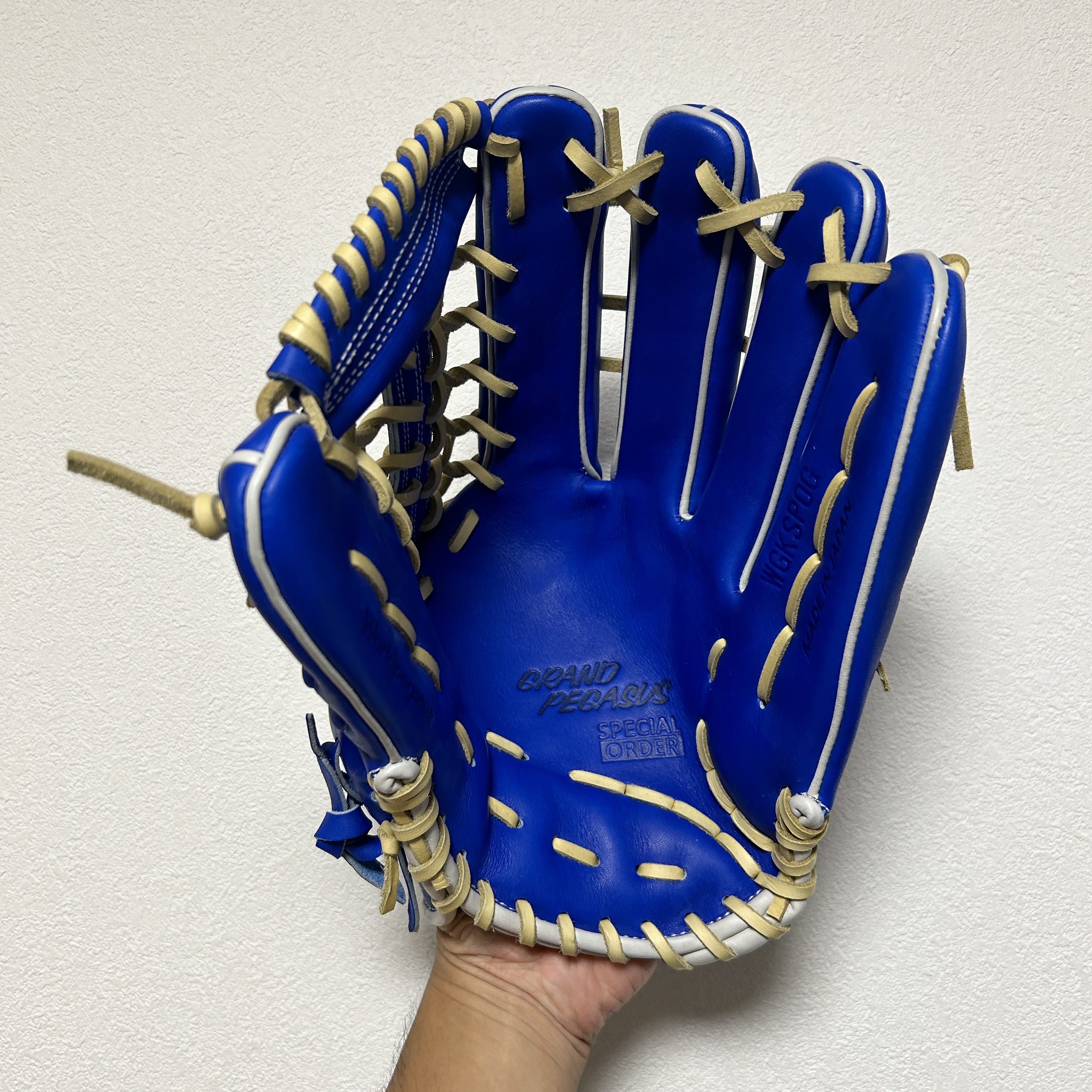 【照片分享】WorldPegasus 獨角獸 硬式外野 グランドペガサス WGK3GP9