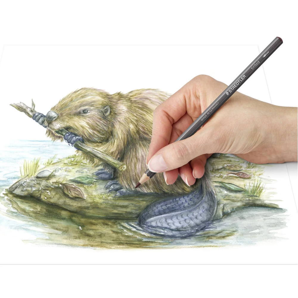 【STAEDTLER 施德樓】設計家水性色調鉛筆組12色組 MS14610 T-M12