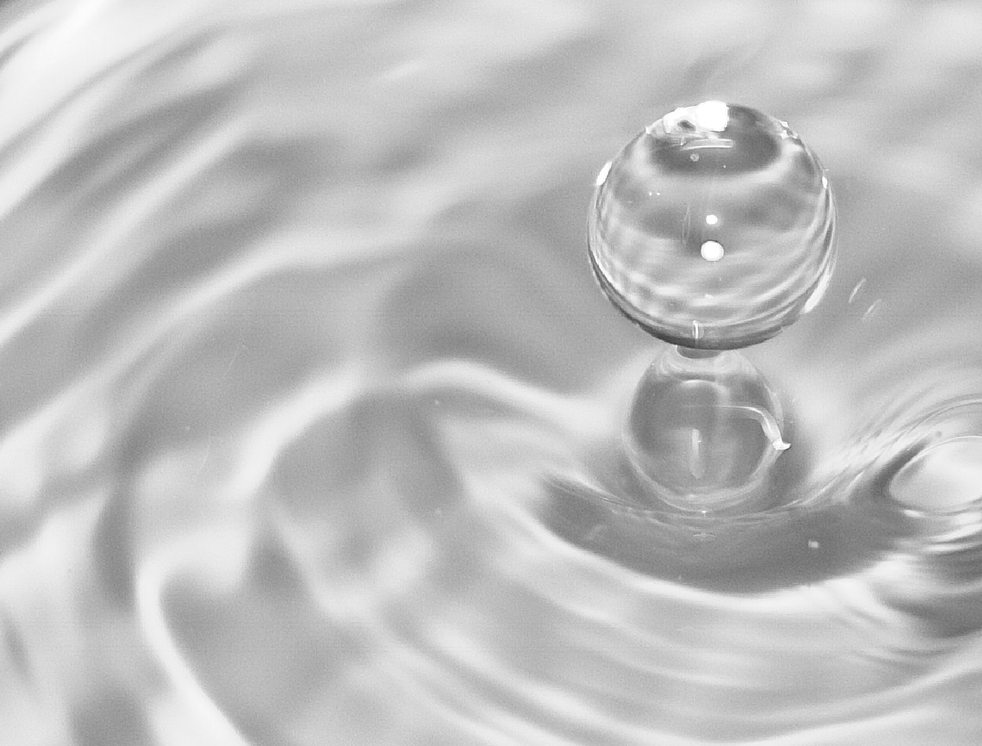 Descriptive Text for Image