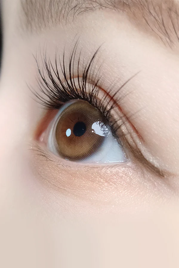 [月拋] ANN365 Ruddy Series 1 Month Brown 露廸啡 月拋隱形眼鏡｜每盒2片