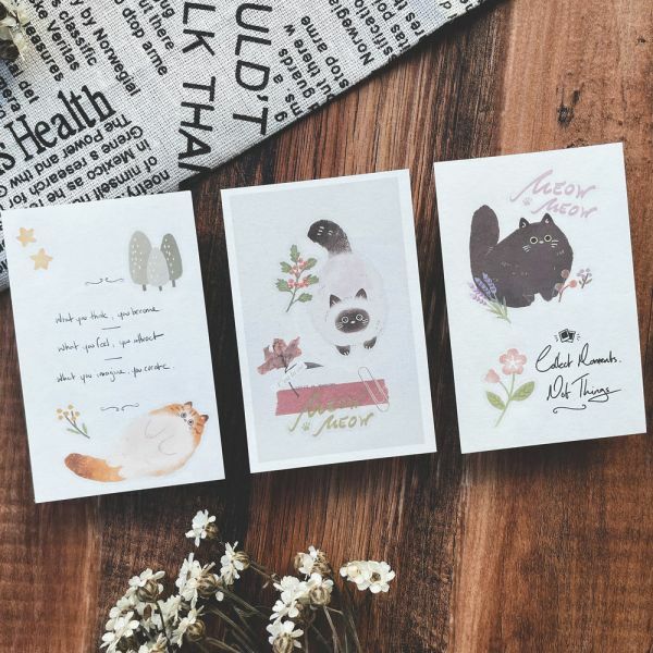 喵喵v.2 3入感壓 轉印貼紙｜迪夢奇 Dimanche