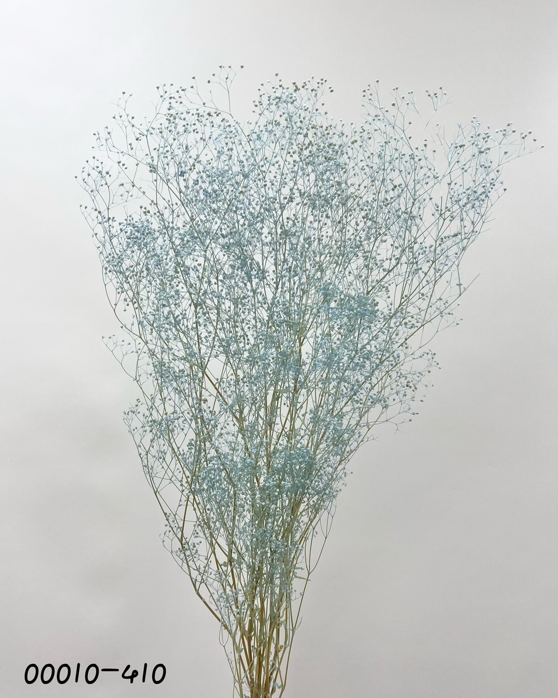 日本不凋迷你滿天星 00010-410