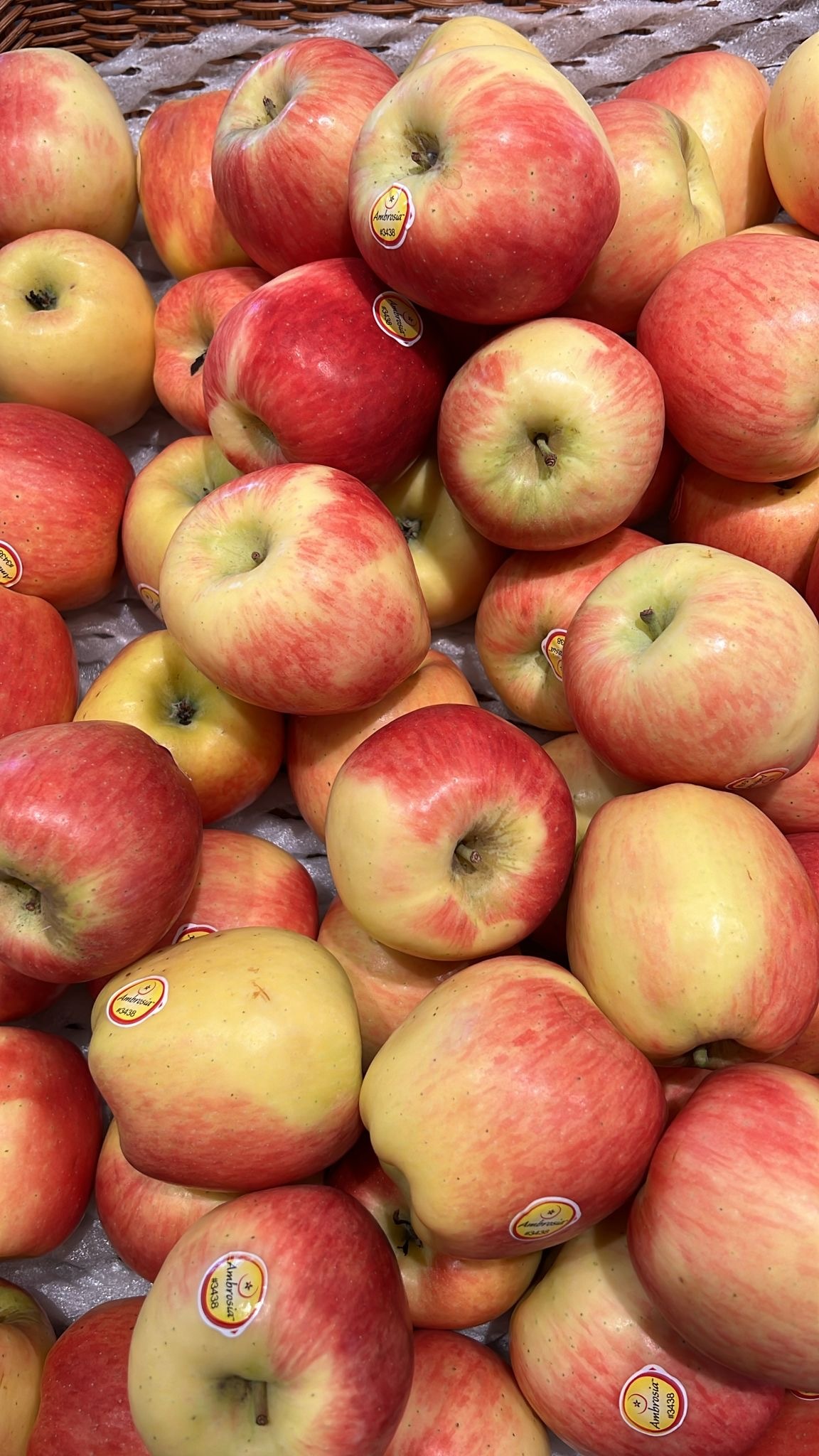 Bless - Fruit -智利安休沙蘋果