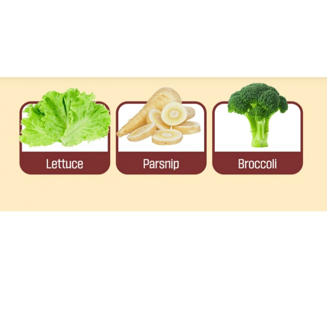 (173)果蔬發酵酶365粉末30包一盒(有2味可選)