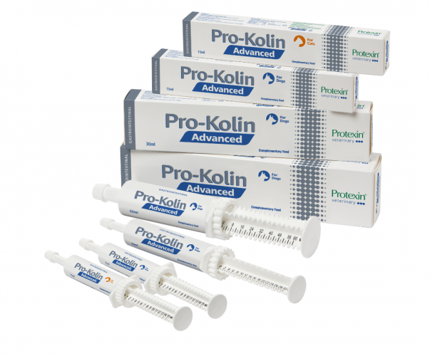 PROTEXIN Pro-Kolin Advanced 「普樂高寧特效」- 犬用配方30毫升