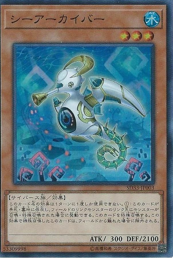 SD33-JP003 シーアーカイバー