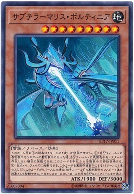 EP17-JP011 サブテラーマリス・ボルティニア