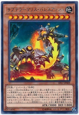 EP17-JP009 サブテラーマリス・バレスアッシュ