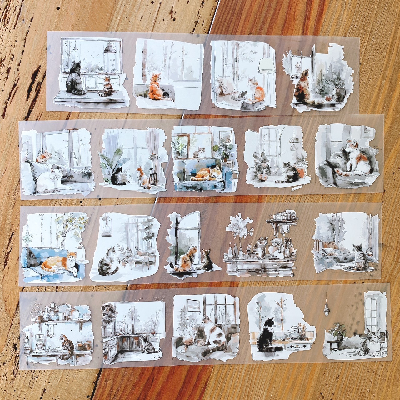 森年．懶惰的貓老闆 The lazy cat boss 5.5cm霧面PET膠帶 <整捲/分裝>