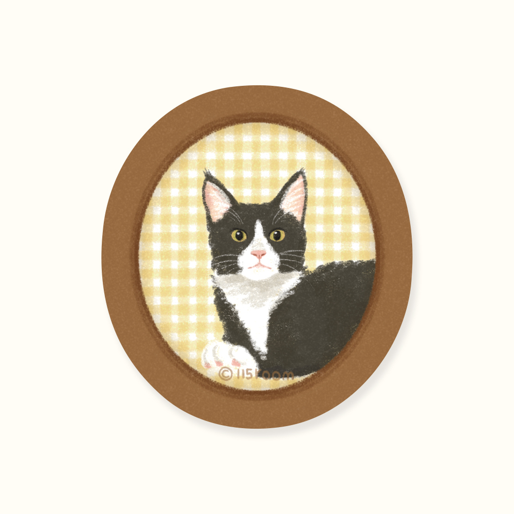 明信片┃冬日貓咪