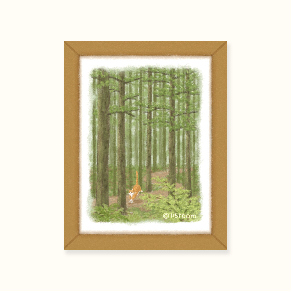 明信片┃森林秘境