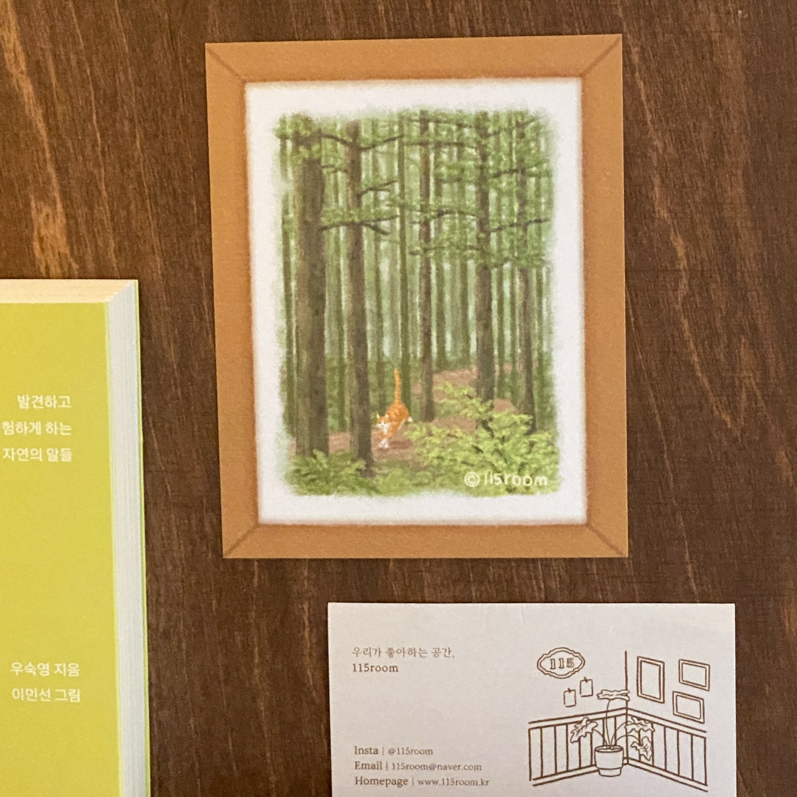 明信片┃森林秘境