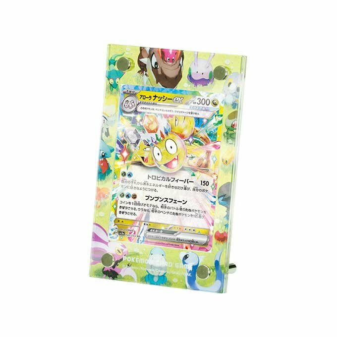 Pokemon Card Game 卡架 龍屬性朋友