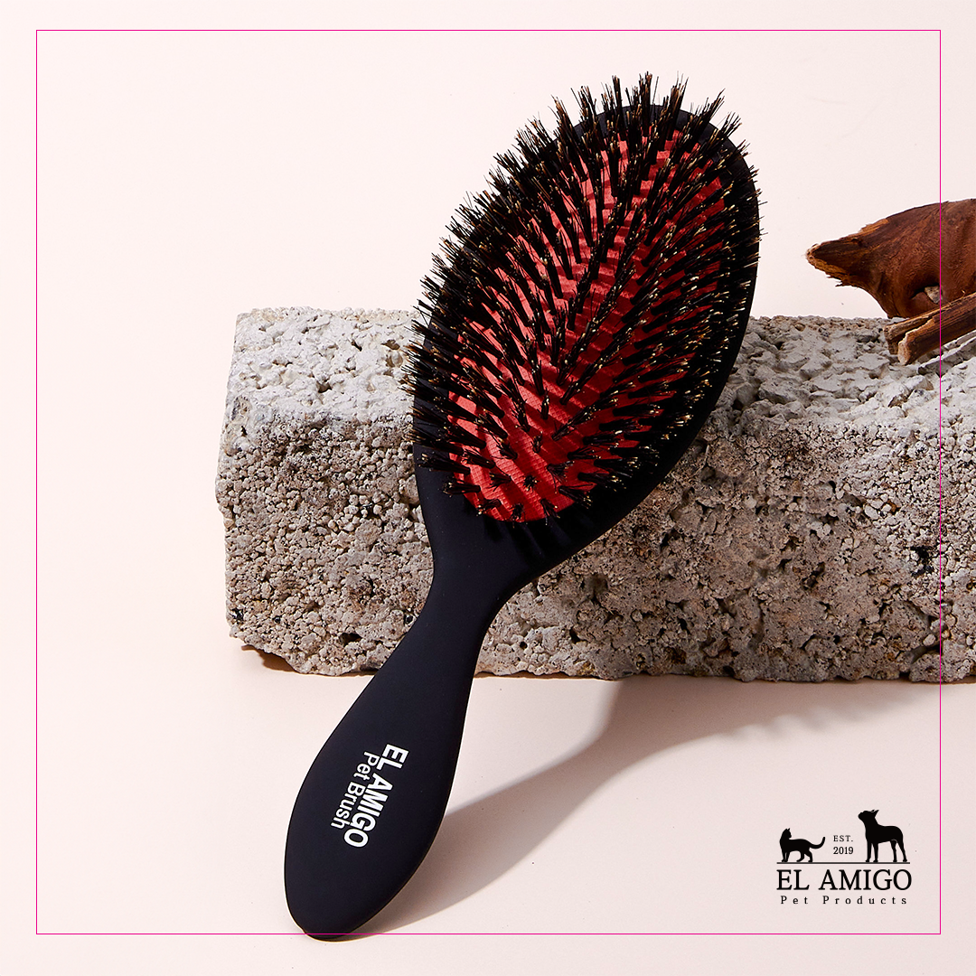 El Amigo 頂級鬃毛梳（L）