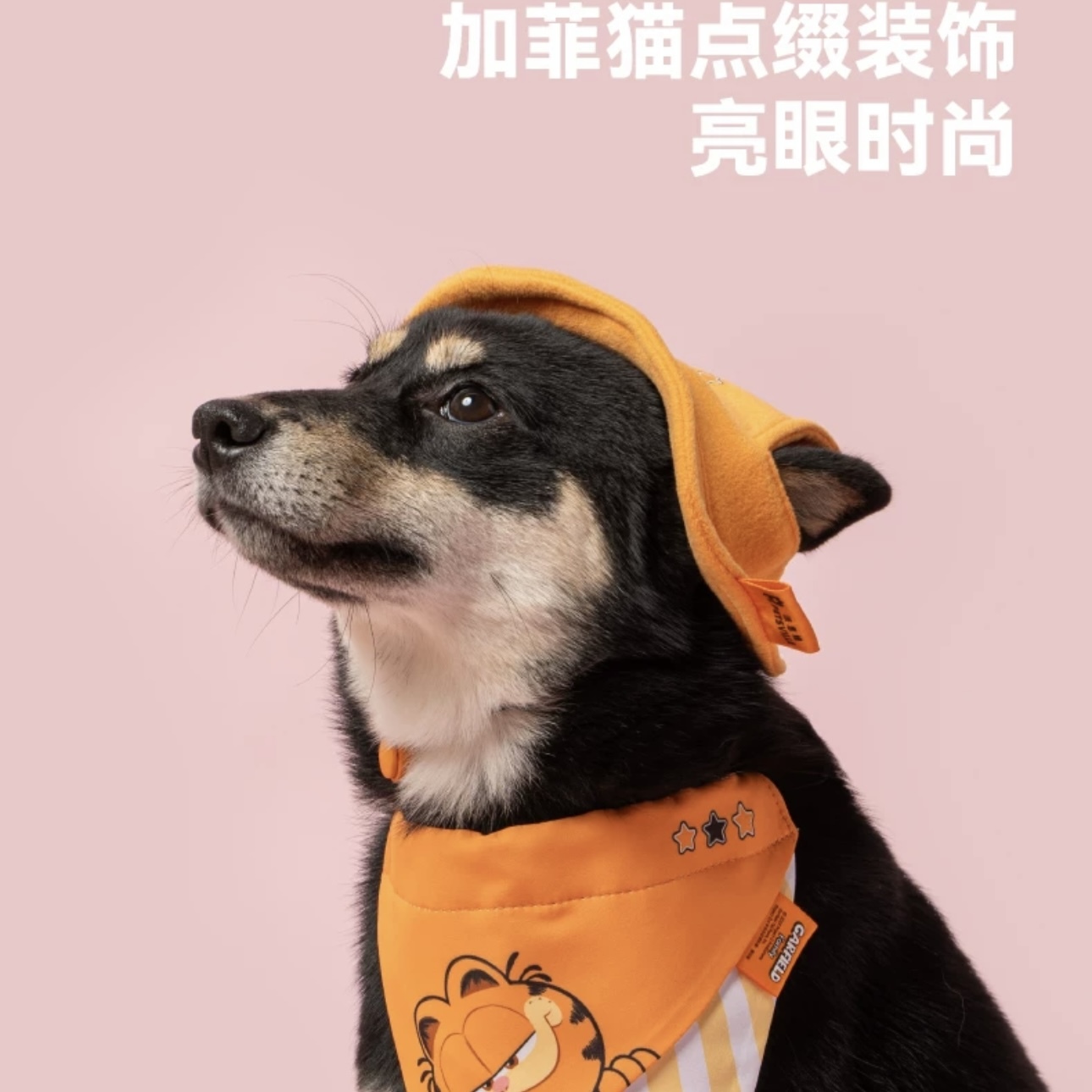 PETSVILLE派思维加菲猫联名 宠物帽子&口水巾套装